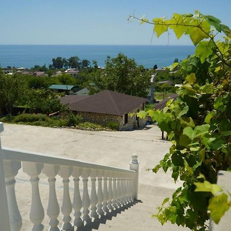 Гостевой Дом Сибиряк New Athos Extérieur photo